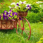 Cum de a decora o grădină (41 poze) proiecta propriile lor mâini, decorate cu flori și mijloace improvizate, (foto) Cum de a decora o grădină (41 poze) proiecta propriile lor mâini, decorate cu flori și mijloace improvizate,