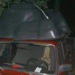Cum se instalează un iaz într-o reședință de vară