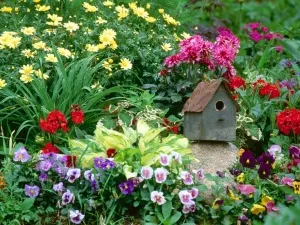 schema de flori cu flori continuu tipuri principale și cele mai potrivite pentru plantele lor