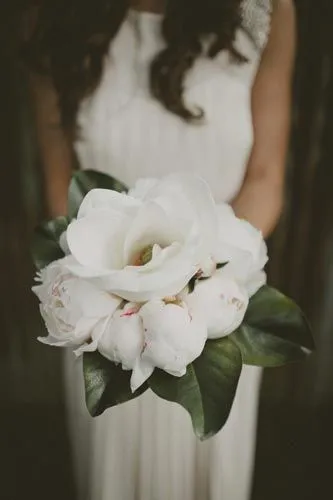 Buchet de bujori