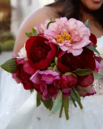 Buchet de bujori