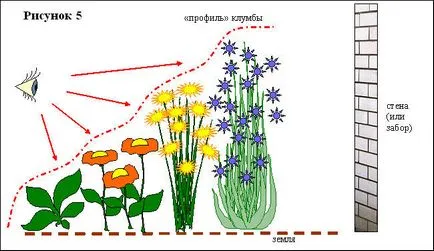 Schema de paturi de flori continuă de plante perene (perene) schema de flori de plante perene cu flori continue