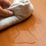Ce fel de pisica este cel mai bun pentru a începe într-un apartament pentru un copil de Feng Shui pentru copiii cu alergii, kotizm (apartament) Ce fel de pisica este cel mai bun pentru a începe într-un apartament pentru un copil de Feng Shui pentru copiii cu alergii, kotizm