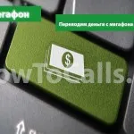 Cum pot afla ce servicii sunt conectate la Beeline și dezactivați-le
