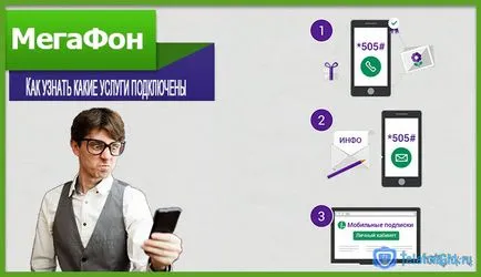 Cum pot afla ce servicii sunt conectate la megafonul și să le dezactivați