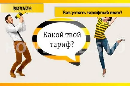 Cum pentru a afla dvs. planul tarifar Beeline - 3 moduri