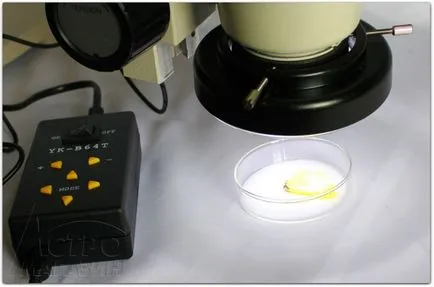 Cum de a alege un microscop 1