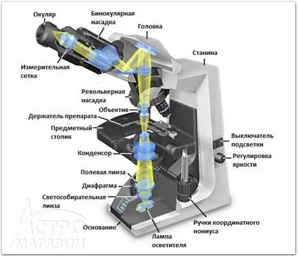 Cum de a alege un microscop 1