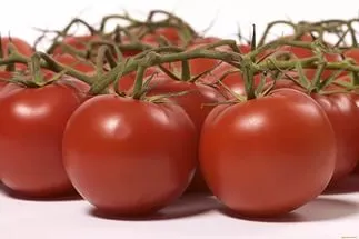 Cum să crească roșii