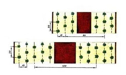 Cum să crească de plantare căpșuni și îngrijire