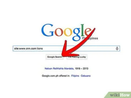 Cum pot căuta un site cu Google