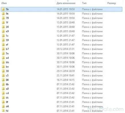 Cum de a restabili conversația de pe Skype (Skype) Cum de a restabili conversația pe Skype