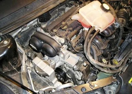 Cum să înlocuiți cureaua de distribuție pe Ford Focus 2, cu propriile lor mâini (curea) Cum să înlocuiți cureaua de distribuție pe Ford Focus 2, cu propriile lor mâini