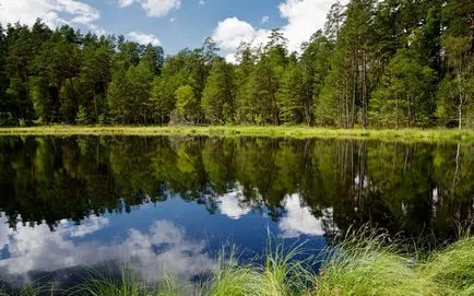 Ce vis interpretare vis de lac, cu apă curată, să înoate, pentru a vedea în pădure, înot, congelate, (net) Ce vis interpretare vis de lac, cu apă curată, să înoate, pentru a vedea în pădure, înot, congelate,