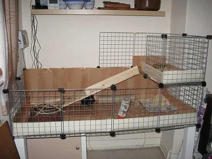 Cage pentru dimensiunea de porc de guineea, modul de a face propriile lor mâini - întreținerea și îngrijirea