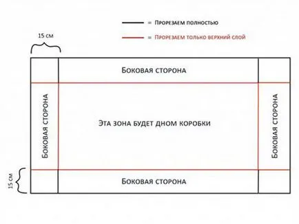 Cage pentru dimensiunea de porc de guineea, modul de a face propriile lor mâini - întreținerea și îngrijirea