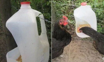 Alimentare și de băut pentru pui cu mâinile lor și cele mai bune (ferme de păsări de casă și adapatorilor pentru pui cu mâinile lor cum să facă) Alimentare și de băut pentru pui cu mâinile lor și cele mai bune