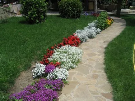 Un gazon frumos la cabana, curte peisaj grădinărit sau zona suburbană, proiectarea de paturi de flori
