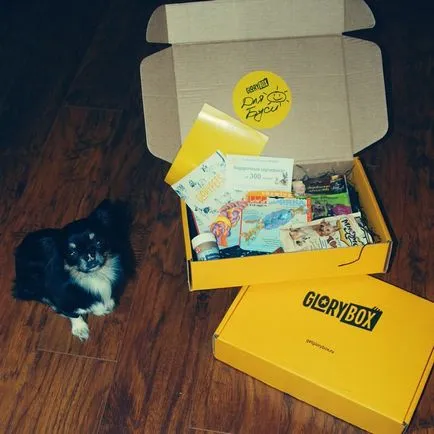 Fericirea Caseta glorybox - cel mai bun cadou pentru animalele de companie (cadou) Fericirea Caseta glorybox - cel mai bun cadou pentru animalele de companie