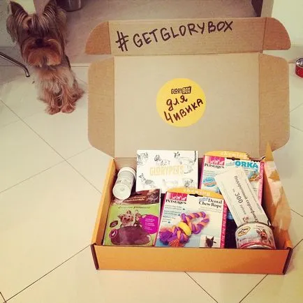 Fericirea Caseta glorybox - cel mai bun cadou pentru animalele de companie (dvs.) Fericirea Caseta glorybox - cel mai bun cadou pentru animalele de companie