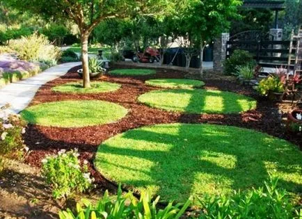 Un gazon frumos, cu propriile sale mâini