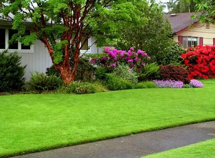 Un gazon frumos la cabana, curte peisaj grădinărit sau zona suburbană, proiectarea de paturi de flori