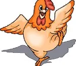 Pui ciugulesc Rooster