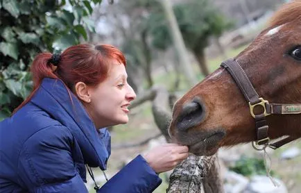 Cum de a face prieteni cu un cal, calul meu (cal) Cum de a face prieteni cu un cal, calul meu