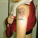 Dog tatuaj însemnând fotografii și schițe (schițe) Dog tatuaj sensul fotografii și schițe