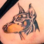 Dog tatuaj însemnând fotografii și schițe (schițe) Dog tatuaj sensul fotografii și schițe