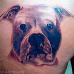 Dog tatuaj sensul fotografii și schițe (foto) Dog tatuaj sensul fotografii și schițe