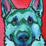 Dog tatuaj sensul fotografii și schițe (foto) Dog tatuaj sensul fotografii și schițe