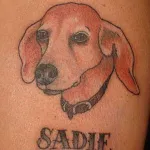 Dog tatuaj însemnând fotografii și schițe (schițe) Dog tatuaj sensul fotografii și schițe