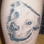 Dog tatuaj sensul fotografii și schițe (valoare) Dog tatuaj sensul fotografii și schițe