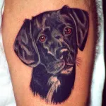 Dog tatuaj sensul fotografii și schițe (valoare) Dog tatuaj sensul fotografii și schițe