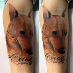 Dog tatuaj sensul fotografii și schițe (tatuaj) Dog tatuaj sensul fotografii și schițe