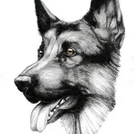 Dog tatuaj sensul fotografii și schițe (foto) Dog tatuaj sensul fotografii și schițe