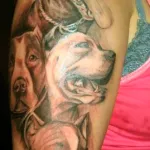 Dog tatuaj însemnând fotografii și schițe (schițe) Dog tatuaj sensul fotografii și schițe