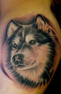 Tatuaje câini (valoare, schițe, fotografii), tattoofotos (tatuaje bărbați) Tatuaje câini (valoare, schițe, fotografii), tattoofotos