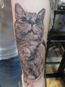 Pisica Tatuaj, pisici (adică, fotografii, schițe), tattoofotos