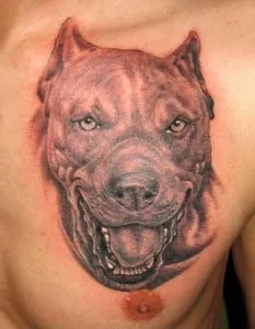 Tatuaje câini (valoare, schițe, fotografii), tattoofotos (tatuaje) Tatuaje câini (valoare, schițe, fotografii), tattoofotos