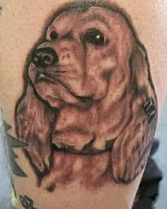 Tatuaje câini (valoare, schițe, fotografii), tattoofotos (tatuaje colorate) Tatuaje câini (valoare, schițe, fotografii), tattoofotos
