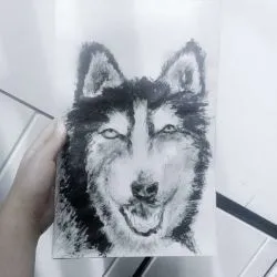 Tatuaje de valoare câine tatuaj, 30 fotografii, schițe