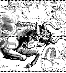 Taur în anul de câine caracteristicile de personalitate (masculin) - astrologie pentru profesioniști
