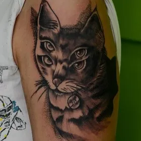 Valoarea pisica tatuaj - un simbol al sensul pentru fete si baieti