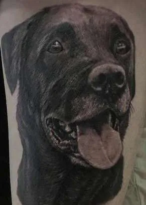 Tatuaje de valoare câine tatuaj, 30 fotografii, schițe