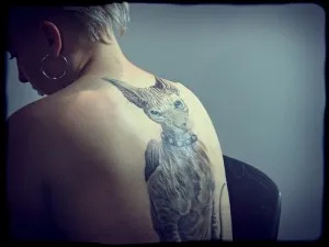 Pisica Tatuaj, pisici (adică, fotografii, schițe), tattoofotos