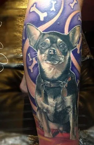 Tatuaj câine - ceea ce înseamnă schițe tatuaj și fotografii
