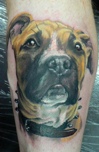 Tatuaj câine - ceea ce înseamnă schițe tatuaj și fotografii