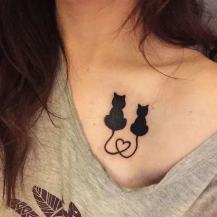 tatuaj Cat pentru femei 100 cele mai frumoase opțiuni pentru a fotografia